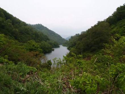 銀山湖上流