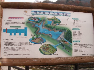 堤体