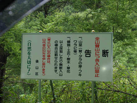 やめてくだしぃ