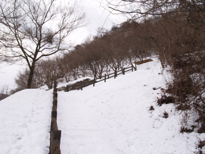 雪の美和ダム
