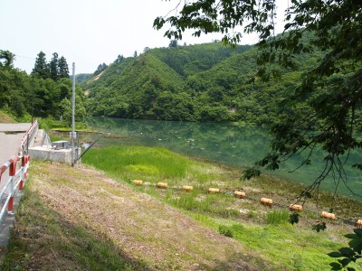 藪神ダム