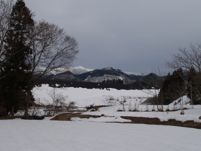 生居川ダム