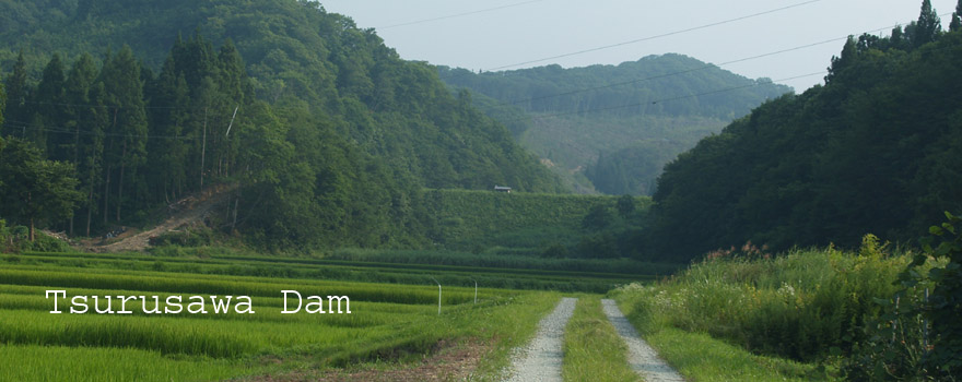 ߑ_/Tsurusawa Dam